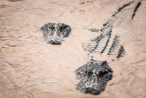 Miami: Everglades Airboat and Wildlife Reserve