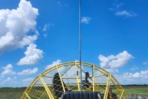 Miami : Excursion écologique dans les Everglades avec transport de luxe