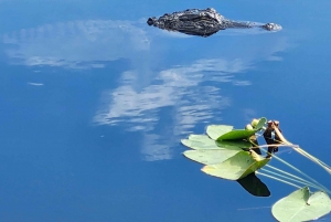 Miami - Ekotur i Everglades Everglades Eco Tour med lyxig transport