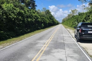 Miami : Excursion écologique dans les Everglades avec transport de luxe