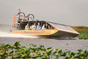 Miami : Aventure dans les Everglades et visite en bus à arrêts multiples à Miami