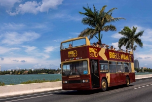 Miami: Aventura en los Everglades y tour con paradas libres en autobús grande