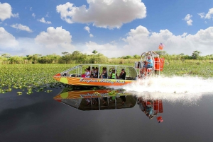 Miami : Aventure dans les Everglades et visite en bus à arrêts multiples à Miami