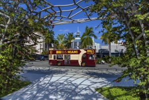 Miami : Aventure dans les Everglades et visite en bus à arrêts multiples à Miami