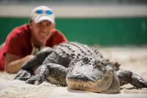 Miami : Aventure dans les Everglades et visite en bus à arrêts multiples à Miami