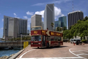 Miami : Aventure dans les Everglades et visite en bus à arrêts multiples à Miami