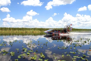 Miami: Aventura en los Everglades y tour con paradas libres en autobús grande