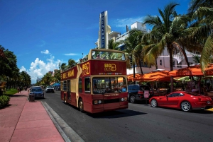 Miami : Aventure dans les Everglades et visite en bus à arrêts multiples à Miami