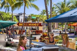 Miami: Everglades Experience, Bay Cruise & Open-top Bus Tour