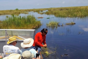 Miami: Excursão de dia inteiro a Everglades com 2 passeios de barco e almoço