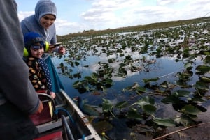 Miami: Excursão de 1 dia a Everglades com 2 passeios de barco e almoço