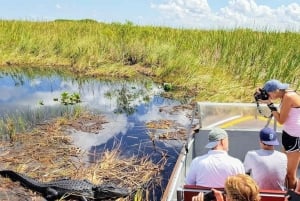 Miami: Excursão de 1 dia a Everglades com 2 passeios de barco e almoço