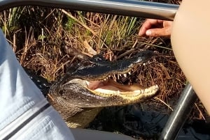Miami: Excursão de 1 dia a Everglades com 2 passeios de barco e almoço