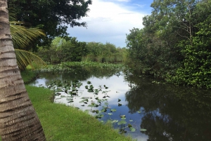 Miami: Everglades & Gators Airboat Tour with Hotel Pickup