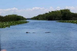 Miami: Dagsutflykt till Everglades nationalpark med airboat