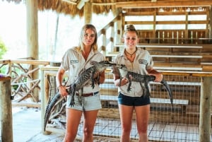 Miami: Tour in motoscafo del Parco Nazionale delle Everglades e spettacolo della fauna selvatica