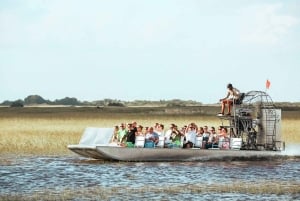 Miami: Everglades National Park Airboat Tour & Wildlife Show