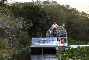 Passeio de aerobarco e show da vida selvagem no Parque Nacional Everglades