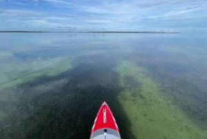 Miami: Everglades National Park Hiking and Kayaking Day Trip