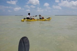 Miami: Everglades nationalpark: Dagstur med vandring och kajakpaddling