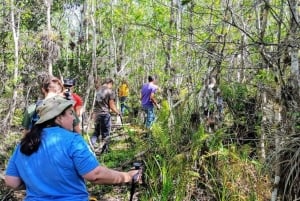 jednodniowa wycieczka piesza i kajakowa po Parku Narodowym Everglades