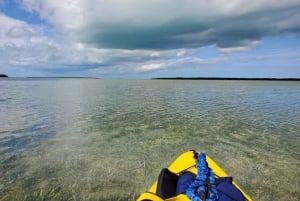 Miami : Journée de randonnée et de kayak dans le parc national des Everglades