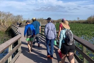 Miami: Escursione di un giorno al Parco Nazionale delle Everglades e al kayak