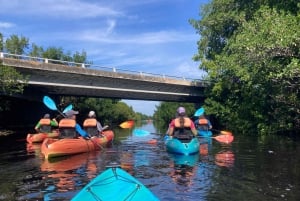 Miami: Escursione di un giorno al Parco Nazionale delle Everglades e al kayak