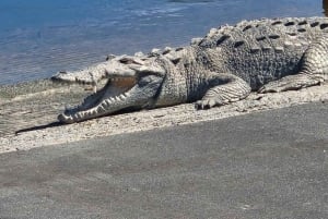 Miami: Everglades National Park Kayaking & Hiking Tour