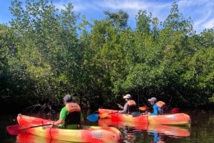 Miami: Everglades National Park Kayaking & Hiking Tour