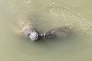 Miami: Everglades National Park Kayaking & Hiking Tour