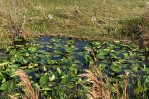 Miami: Everglades National Park Kayaking & Hiking Tour