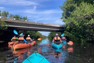 Miami: Everglades National Park Kayaking & Hiking Tour