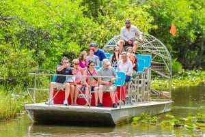 Miami : parc des Everglades, visite en bus et excursion en yacht