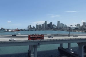 Miami : parc des Everglades, visite en bus et excursion en yacht