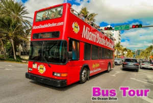 Miami : parc des Everglades, visite en bus et excursion en yacht