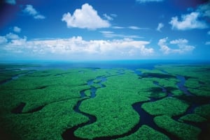 Miami: Everglades Park Fan-Boat Tour and Animal Presentation