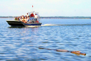 Miami: Everglades Park Fan-Boat Tour and Animal Presentation