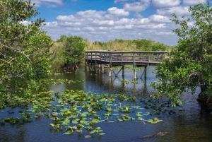 Miami: Everglades Private Tour