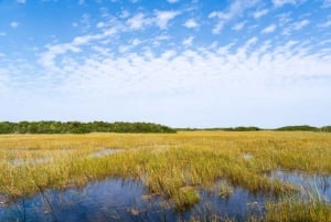 Miami: Everglades Private Tour