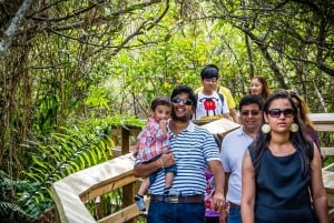 Miami: Everglades Safari Park Airboat Tour