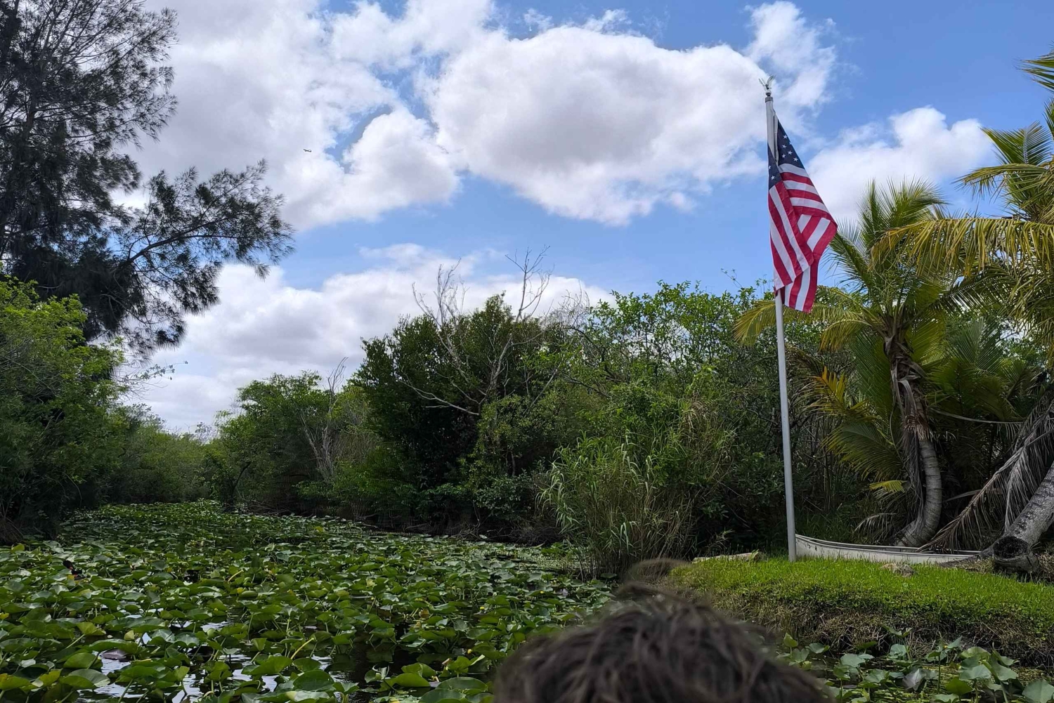 Miami : Visite guidée des Everglades en petit groupe en français