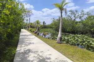 Miami : Visite guidée des Everglades en petit groupe en français