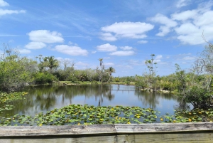 Miami : Visite guidée des Everglades en petit groupe en français