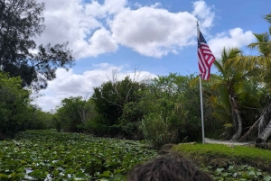 Miami : Visite guidée des Everglades en petit groupe en français