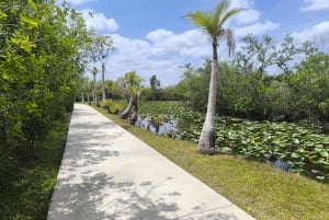 Miami : Visite guidée des Everglades en petit groupe en français