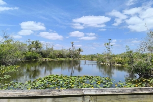 Miami : Visite guidée des Everglades en petit groupe en français