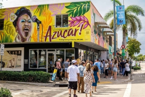 Miami: Explore Magic City in Style – 2-Hour VIP Tour