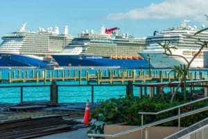 Miami: Explore Magic City in Style – 2-Hour VIP Tour