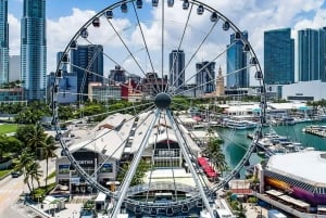 Miami: Explore Magic City in Style – 2-Hour VIP Tour